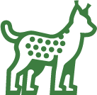luchs.png
